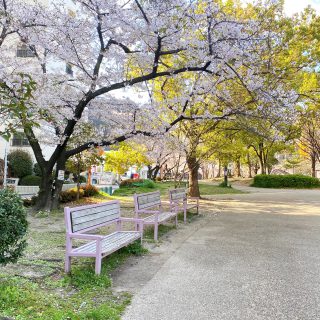桜舞う春の江坂公園